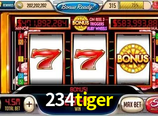 Security Systems 234tiger